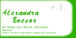 alexandra bocsor business card